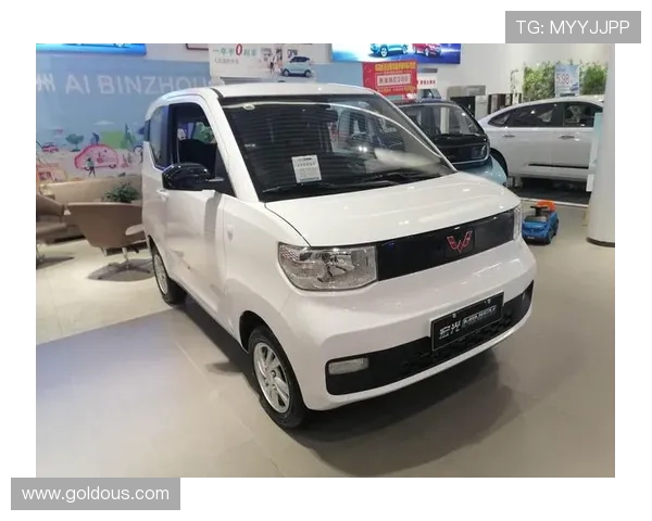 2.88万起售，双门后驱，老年代步平替产品，实拍宏光MINIEV