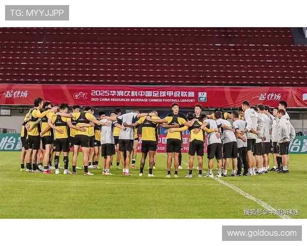 中甲升级中超2018（中甲升级中超球队）世界杯体育论坛