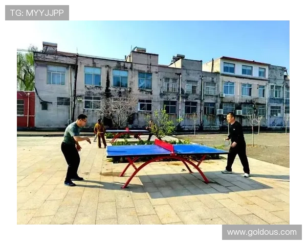 岱岳区体育联赛（岱岳区新闻）sports